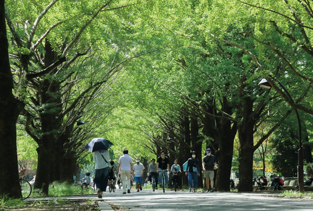 練馬春日町（東京都練馬区）