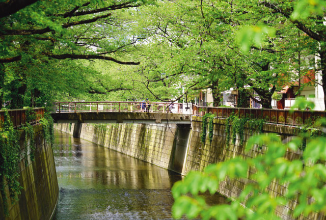 大橋（東京都目黒区）