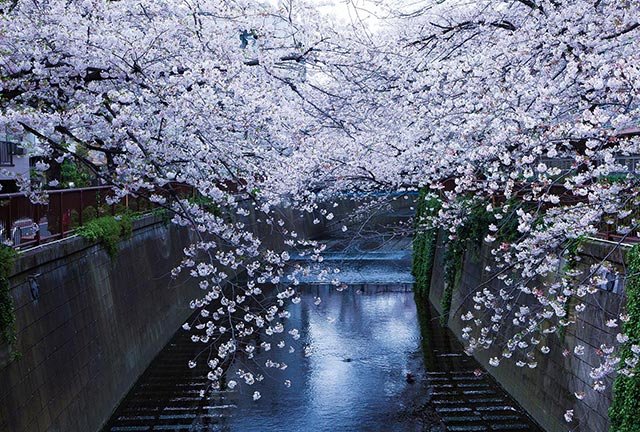 青葉台（東京都目黒区）