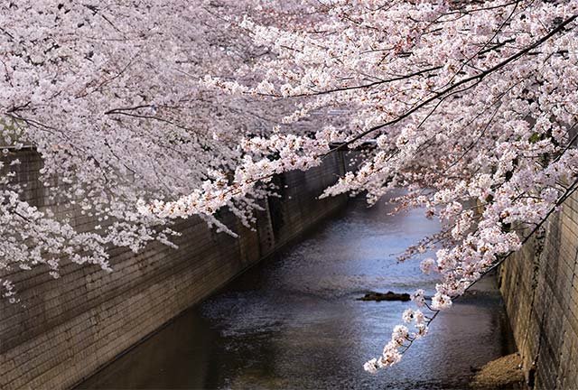 練馬高野台（東京都練馬区）