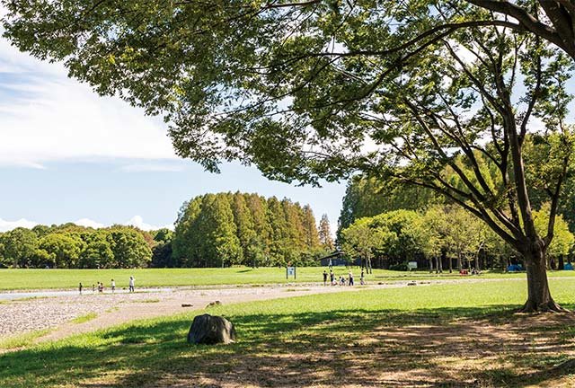 八潮（埼玉県八潮市）