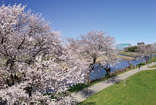 志木（埼玉県志木市）